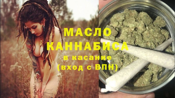 дмт Дмитриев