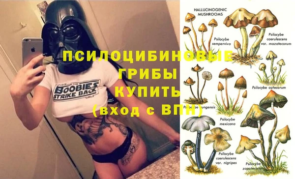 синтетический гашиш Дмитров