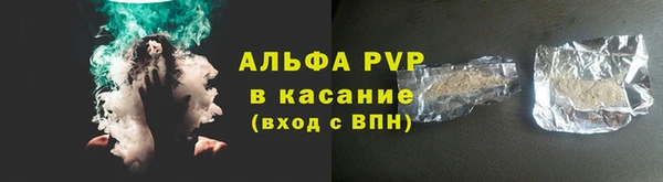 дмт Дмитриев