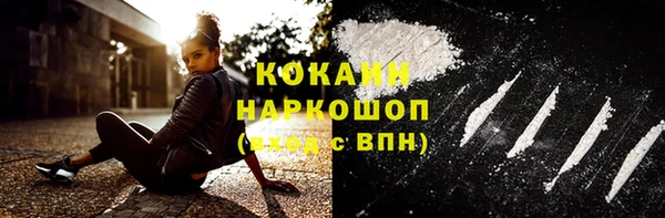 дмт Дмитриев