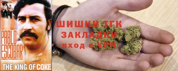 дмт Дмитриев