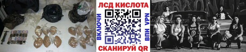 магазин Новоржев ЛСД экстази ecstasy